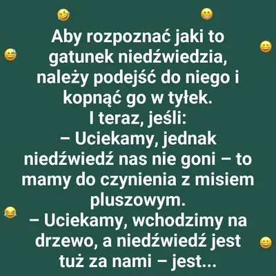 Jak rozpoznać niedźwiedzia? Prosta instrukcja