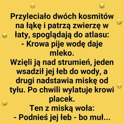 Kosmiczna wpadka z krową
