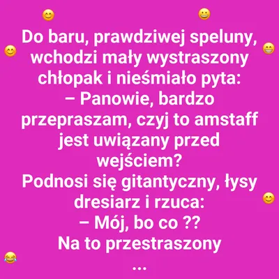 Mały pies, wielki problem