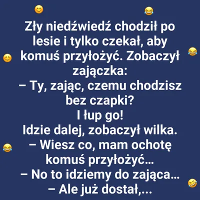 Niedźwiedź szuka zaczepki