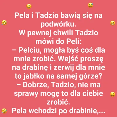 Pela i Tadzio na podwórku