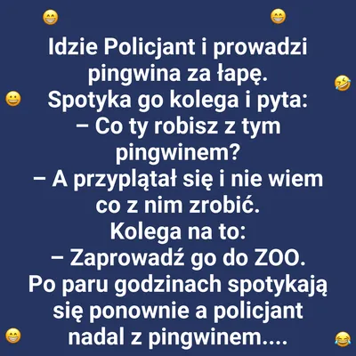 Pingwin na mieście
