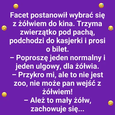 Żółw w kinie